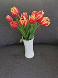 Tulipanes 10 piezas - Isla mujeres