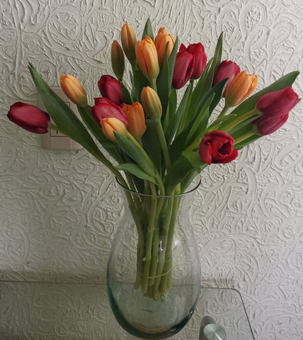 Tulipanes 20 piezas - Isla mujeres 20