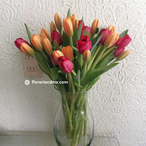 Tulipanes 30 piezas - Isla mujeres 30