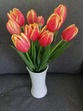 Tulipanes 10 piezas - Isla mujeres
