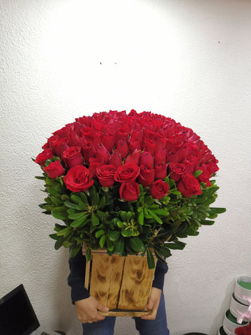 Xico 200 rosas
